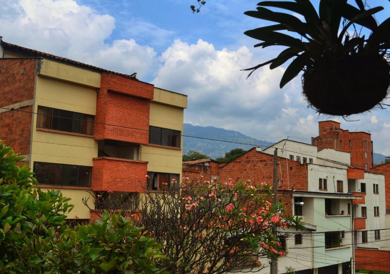 Selvatica Eco (adults Only) Hostel *